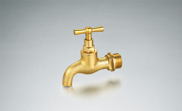  Brass globe valve